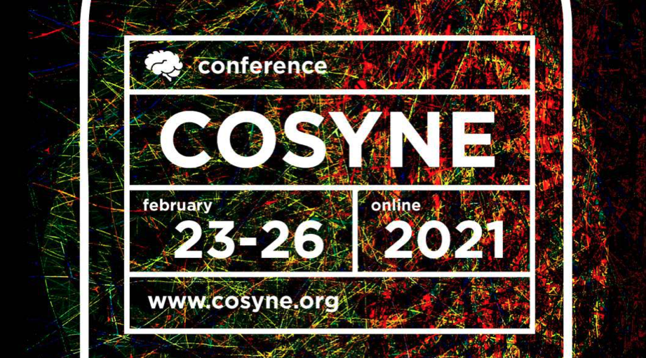 Poster presentation at the 2021 COSYNE Conference