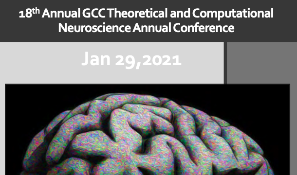 Short talk at the GCC Theoretical and Computational Neuroscience Conference